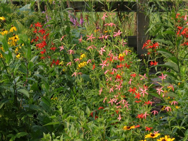 2026 Open Garden Date