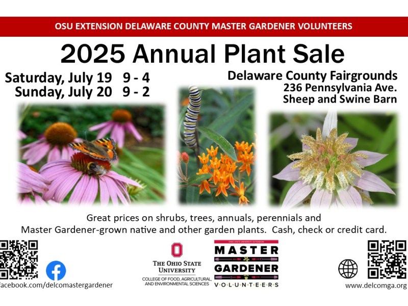 Native Plants at July 2025 DCMGA Sale