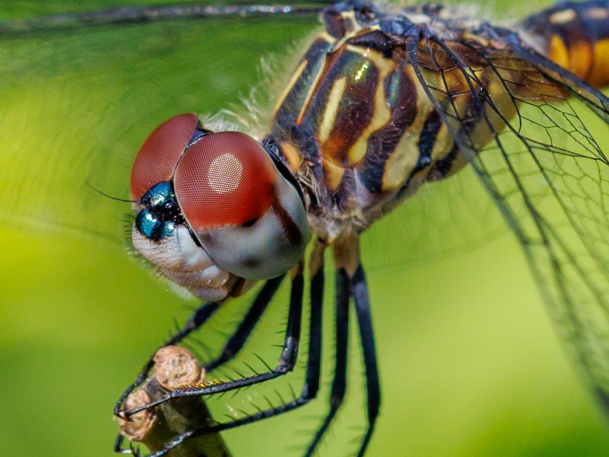 Like Us on Facebook!