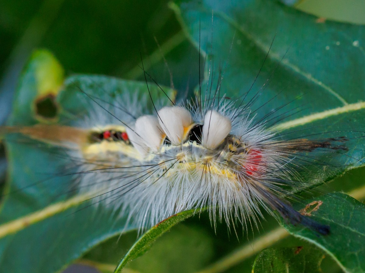 September Imagery and Notes