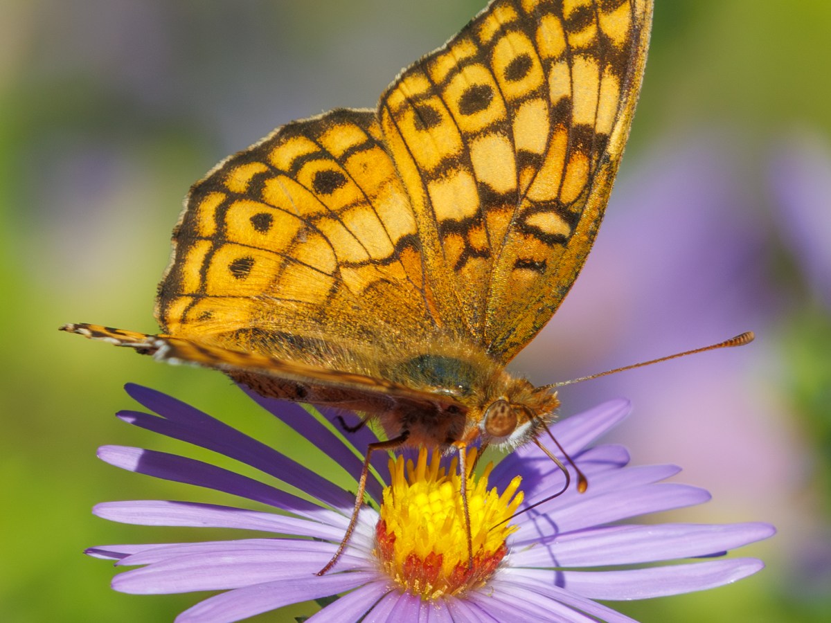 October Imagery and Notes